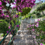 Flowering stairs